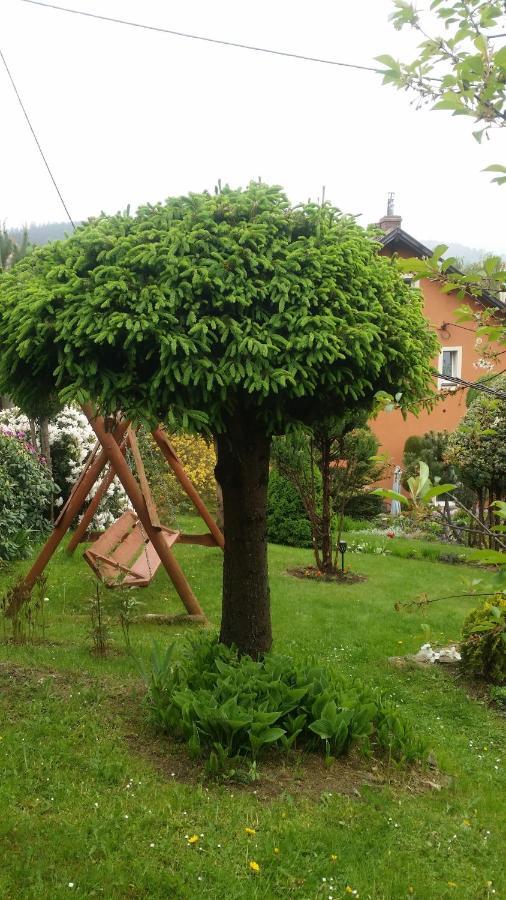 Noclegi U Andrzeja Duszniki Zdrój Exterior foto